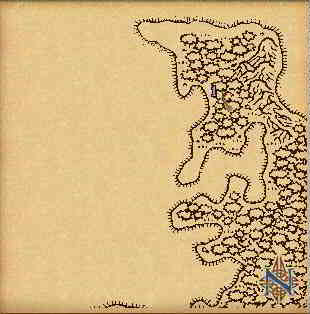 139o28S_139o5W.jpg (13626 bytes)