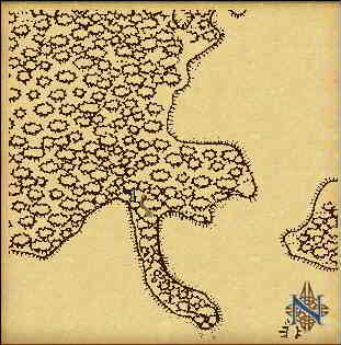 158o28S_50o24E.jpg (18180 bytes)